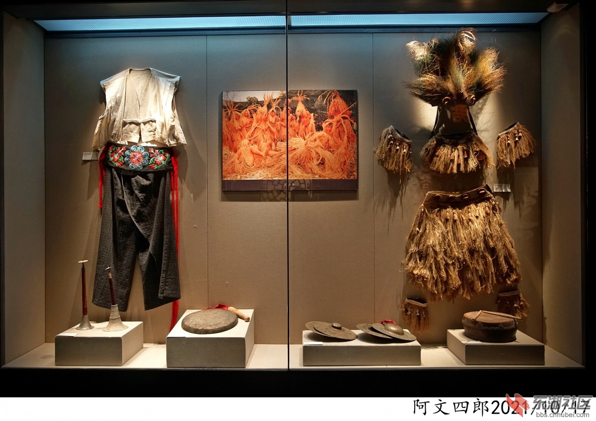 DSC00113.jpg