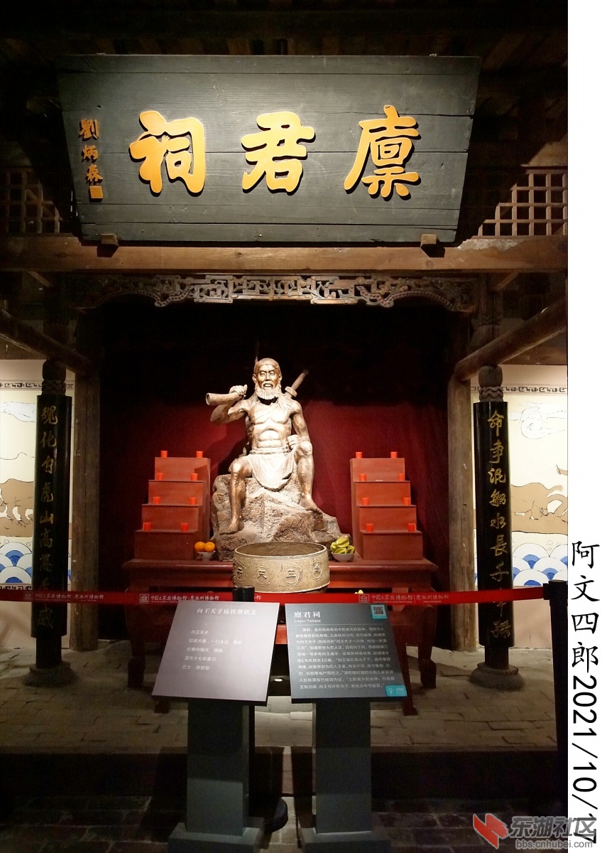 DSC00114.jpg