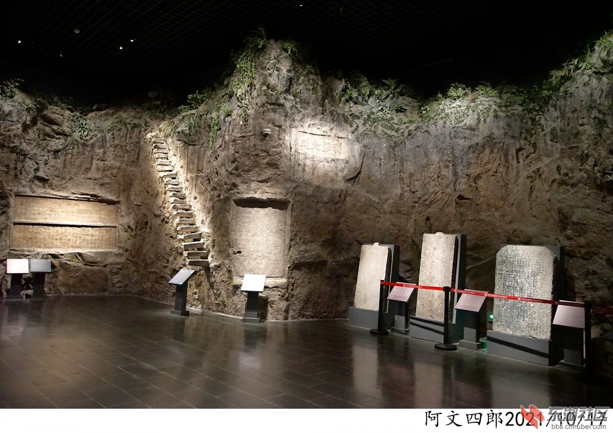 DSC00117.jpg