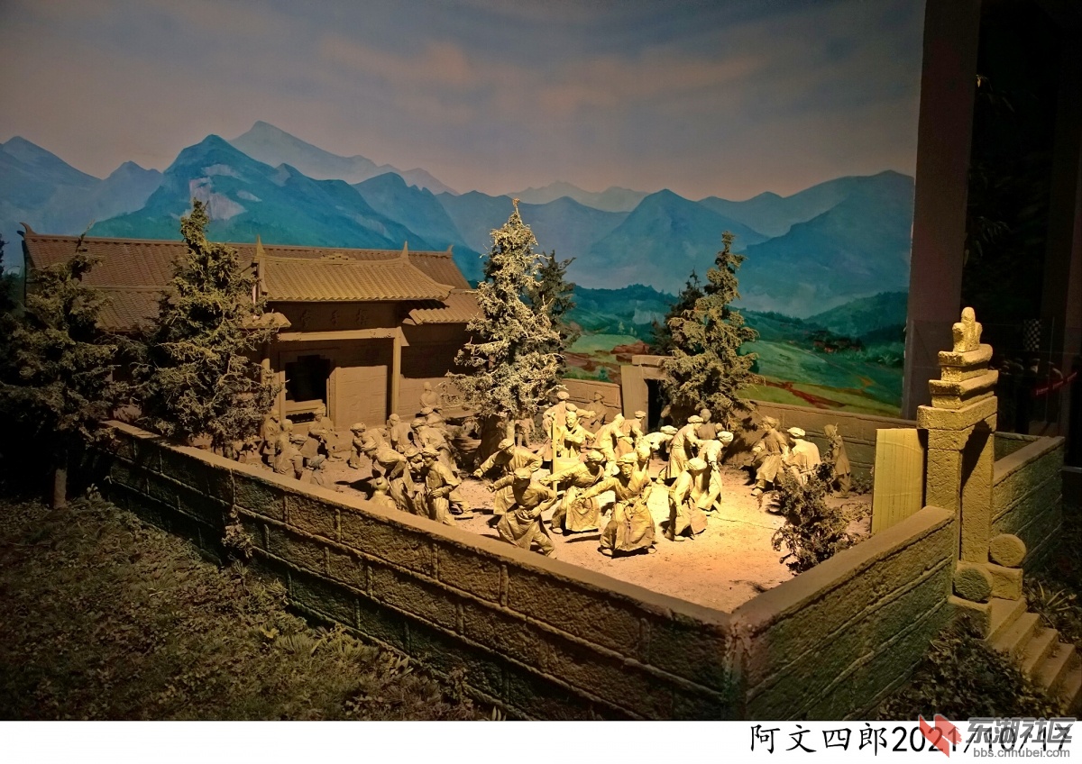 DSC00118.jpg