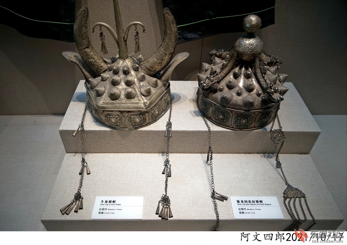 DSC00125.jpg
