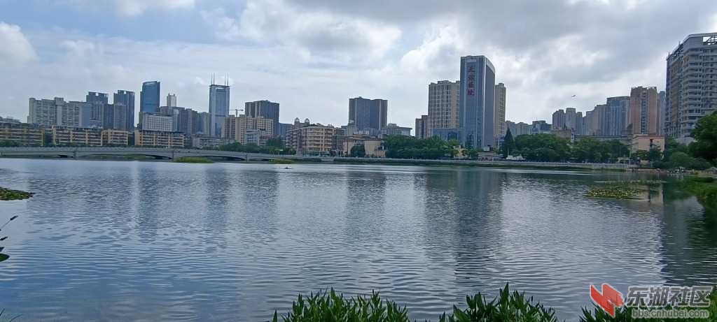 MVIMG_20220620_093015.jpg
