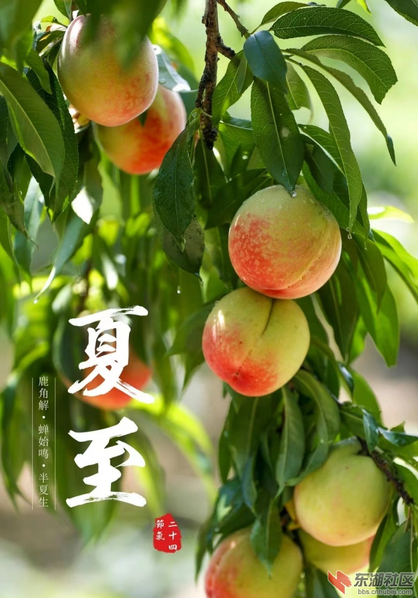 微信图片_202206211115013.jpg