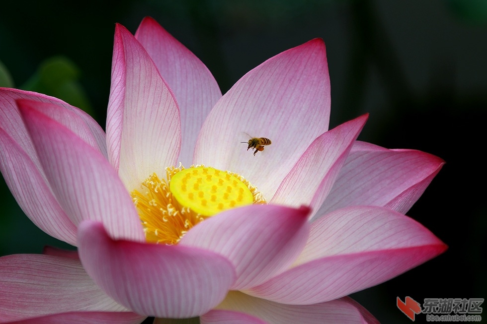 IMG_7303_看图王.jpg