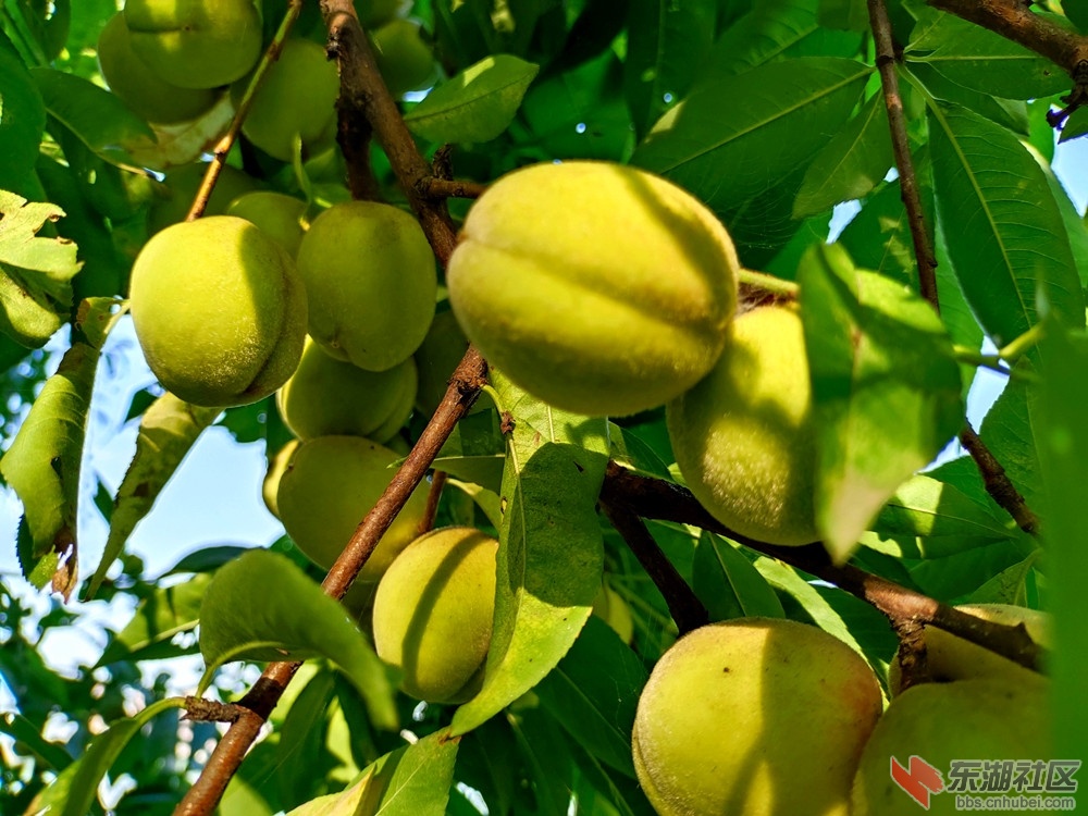 IMG_20220630_073807_副本.jpg