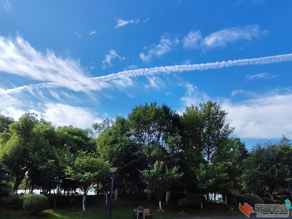 IMG_20220702_074153_副本.jpg