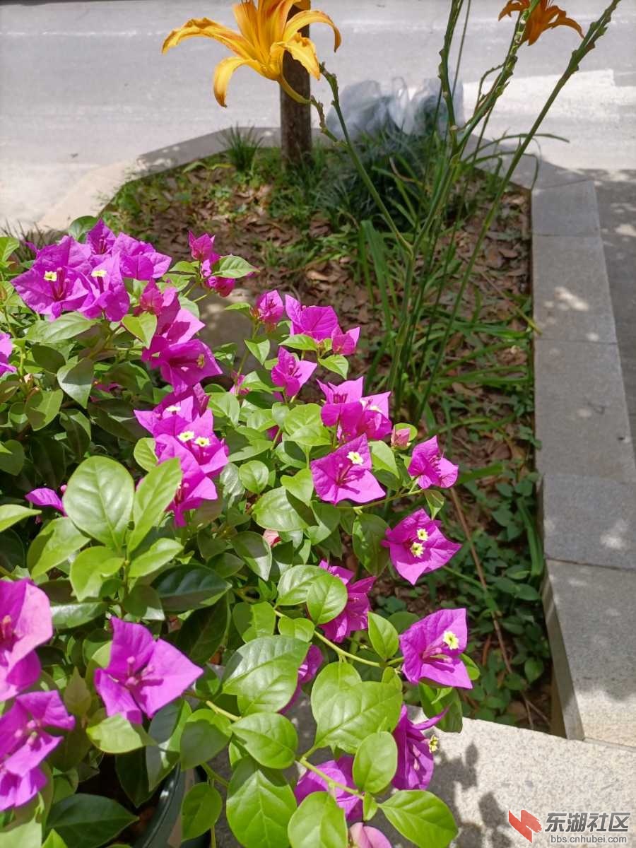 IMG_20220702_113855.jpg