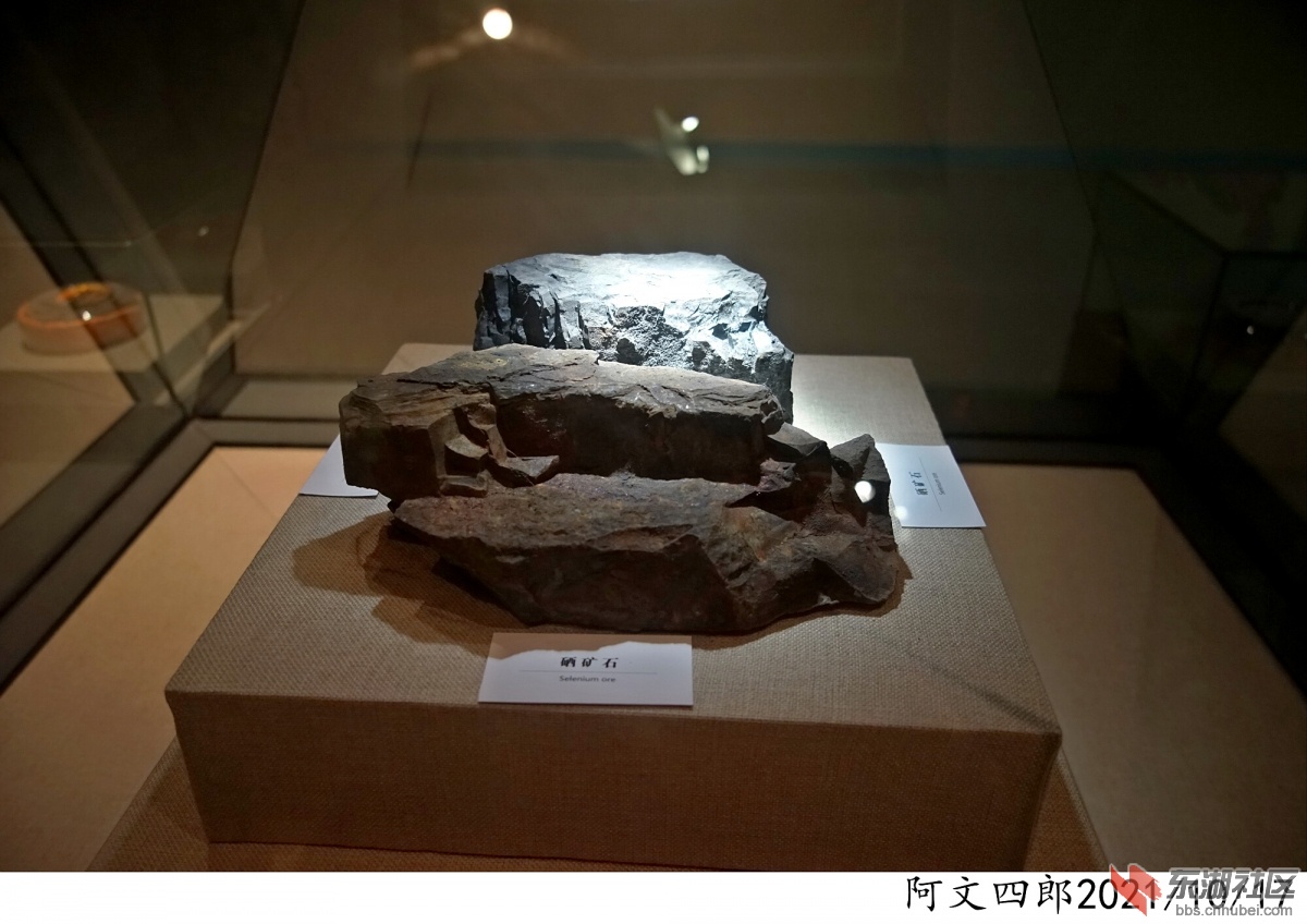 DSC00182.jpg