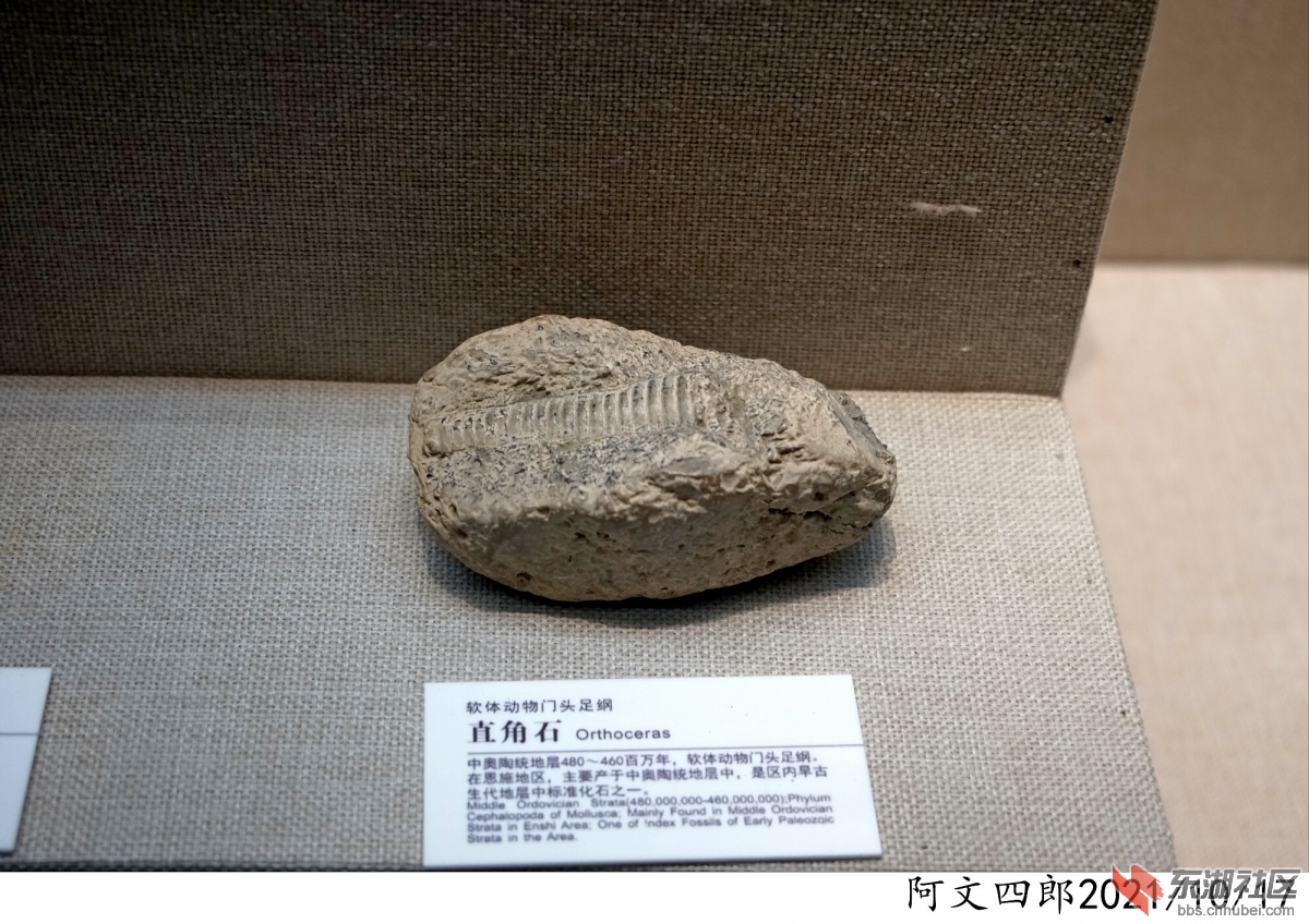 DSC00185.jpg