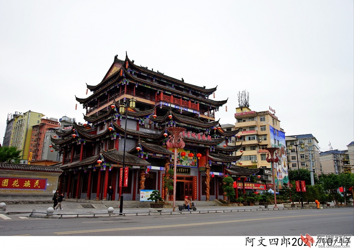 DSC00211.jpg