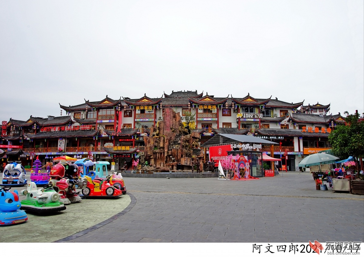 DSC00215.jpg