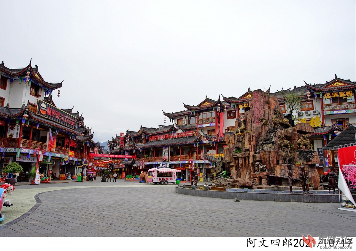 DSC00216.jpg