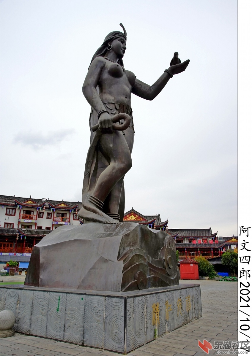 DSC00239.jpg