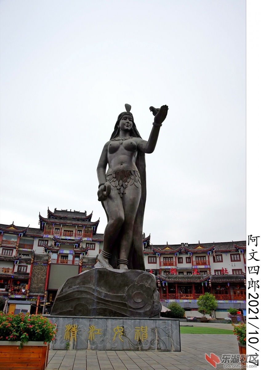 DSC00241.jpg
