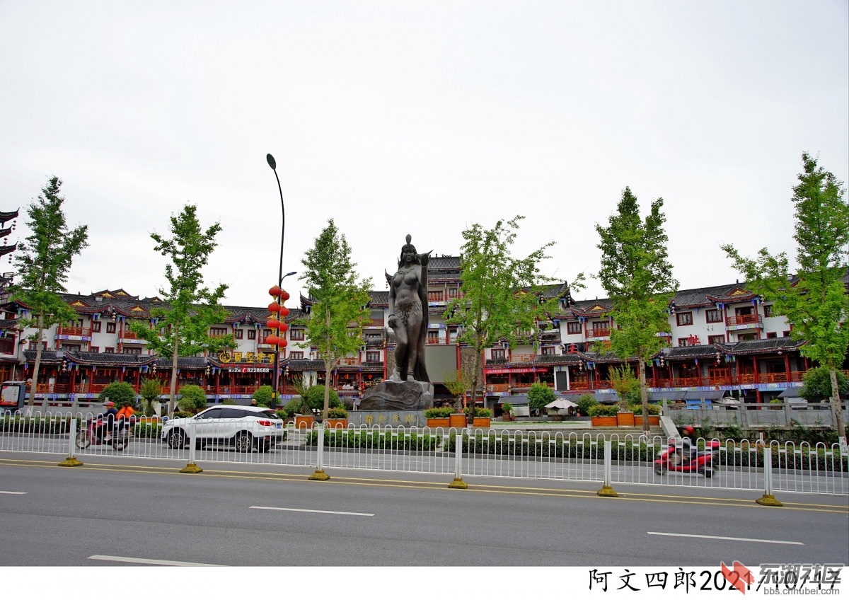 DSC00246.jpg
