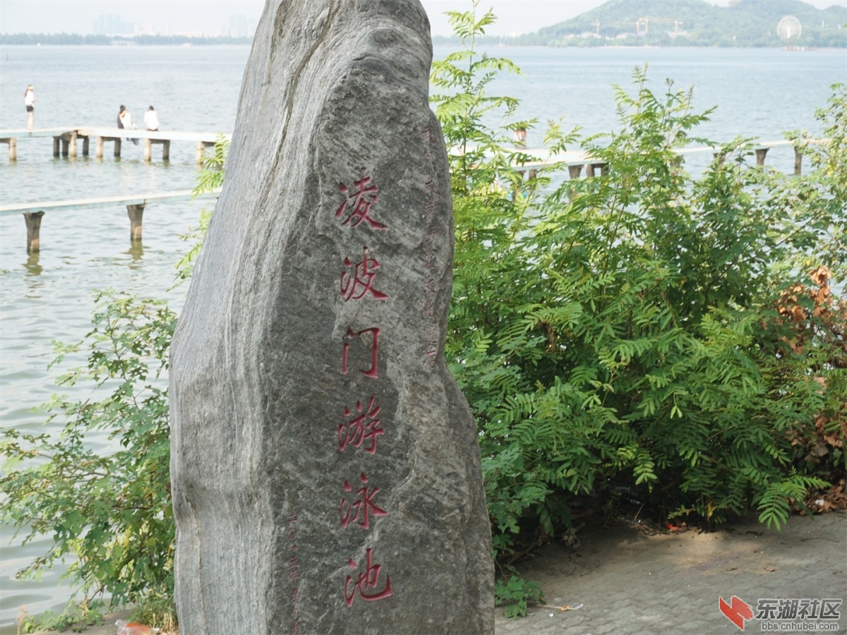 DSC08675.JPG