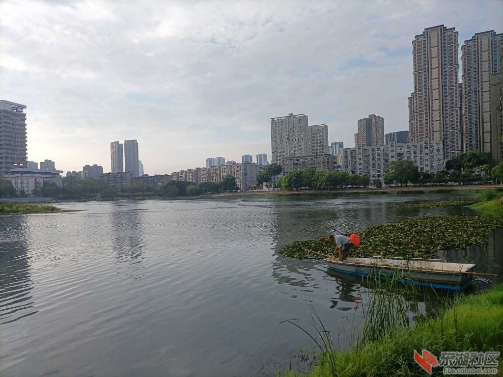 IMG_20220823_072607.jpg