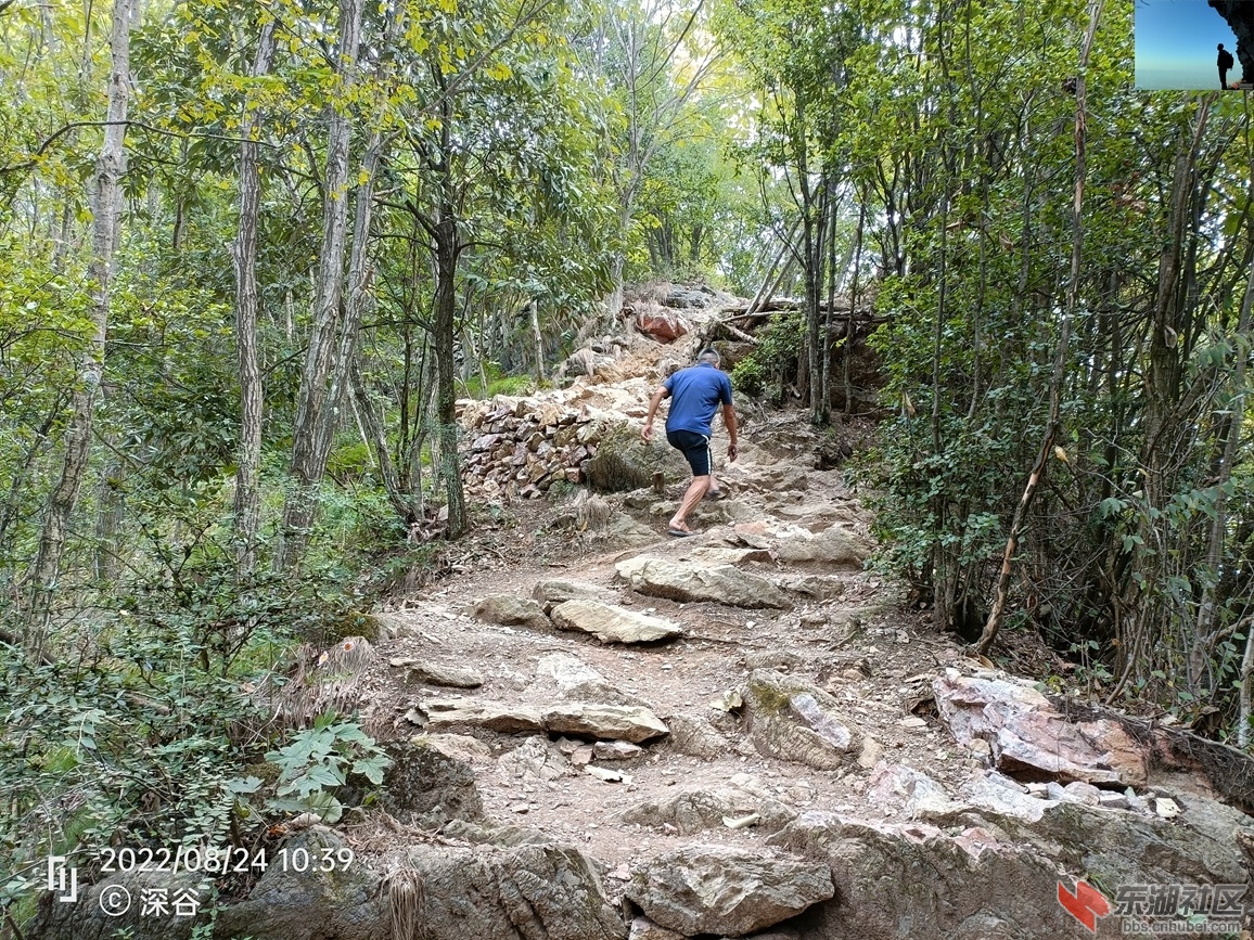 IMG20220824103947.jpg