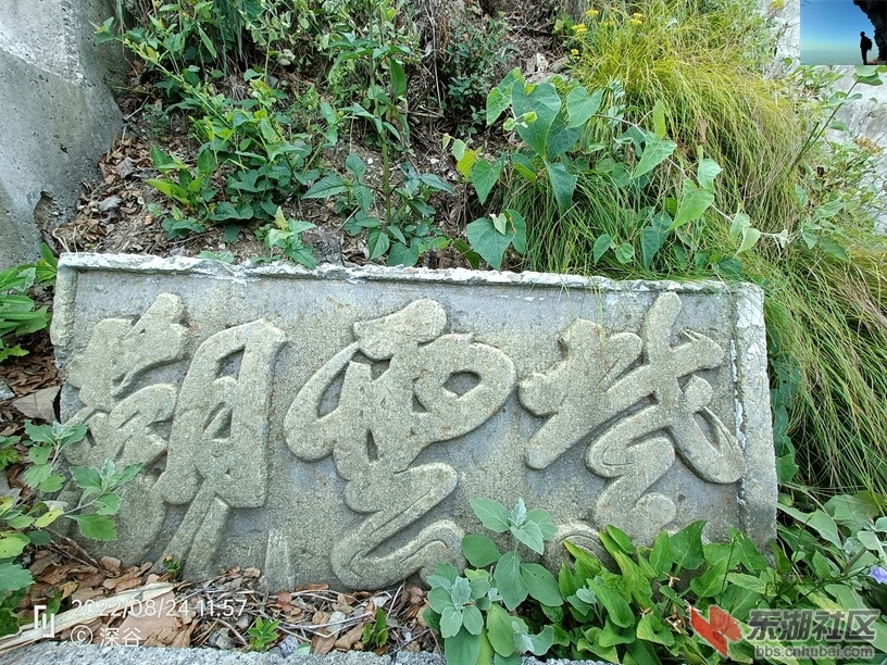 IMG20220824115716.jpg