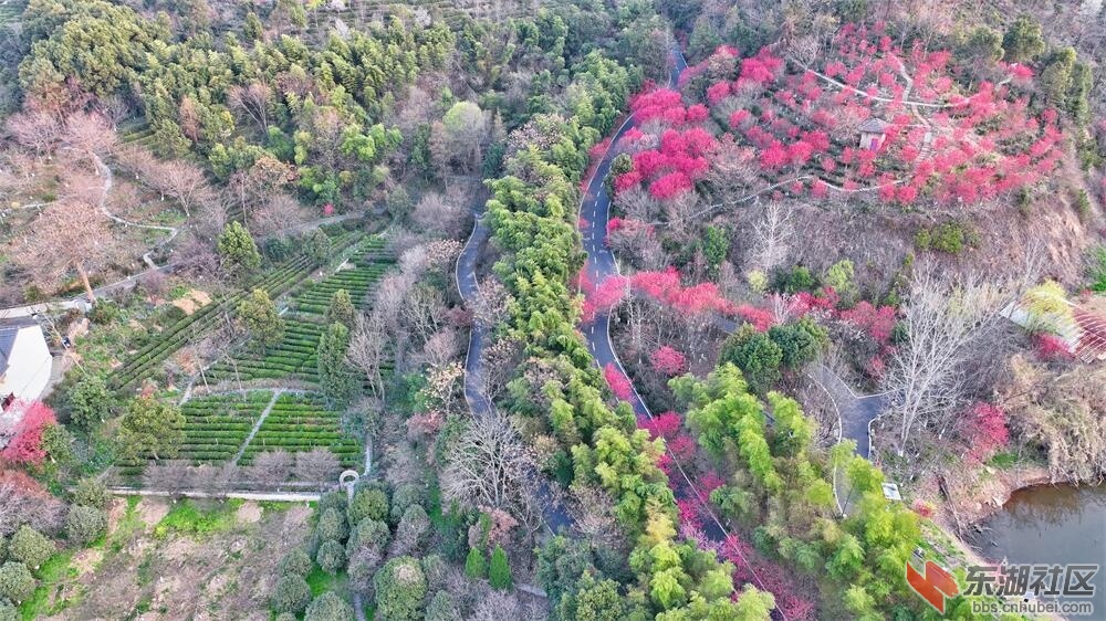 dji_export_1647061262600.jpg