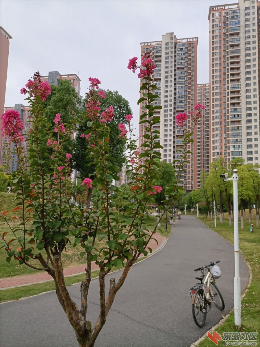 qq图片20220908194252.jpg