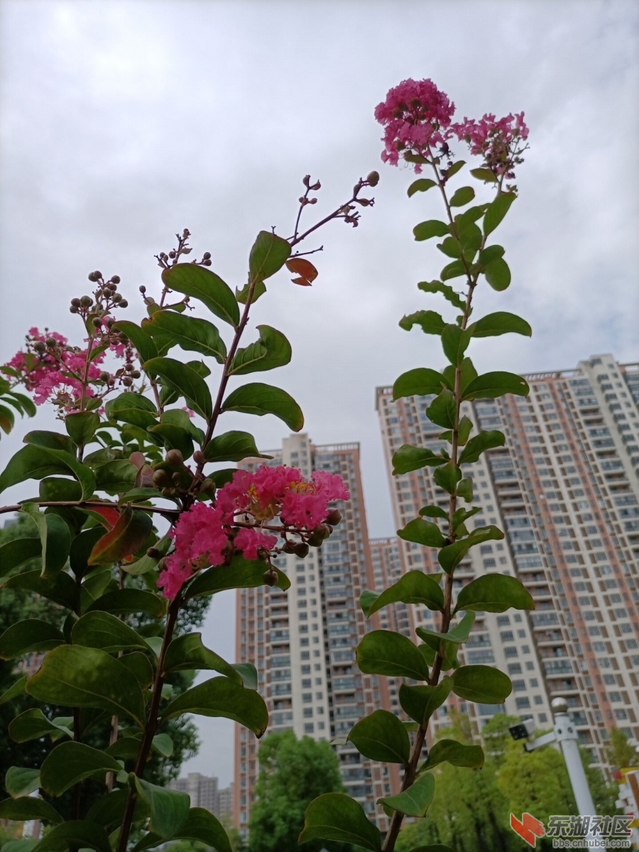 qq图片20220908194305.jpg
