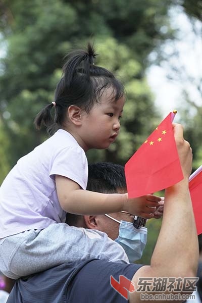 手执国旗的小观众