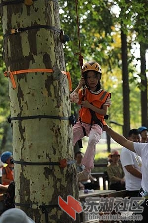 学攀树