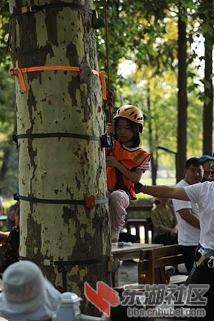 学攀树