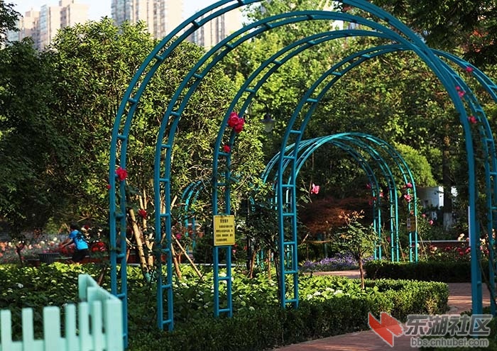 花架