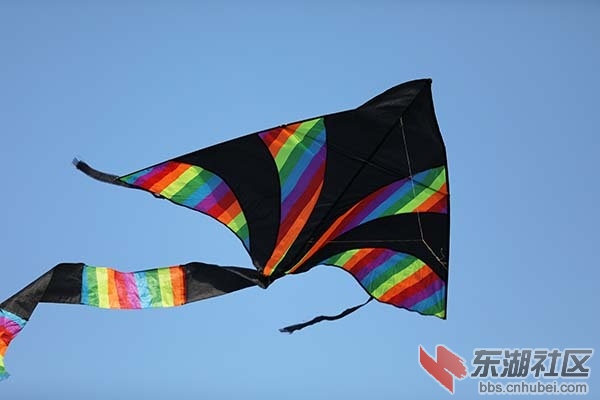 放飞的风筝
