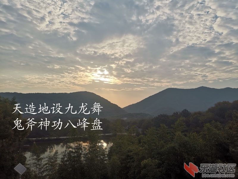 IMG_20221014_072552.jpg