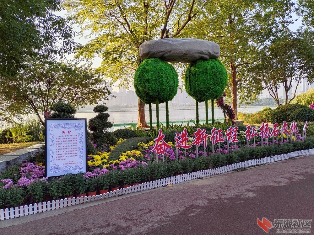 IMG_20221101_074601_副本.jpg