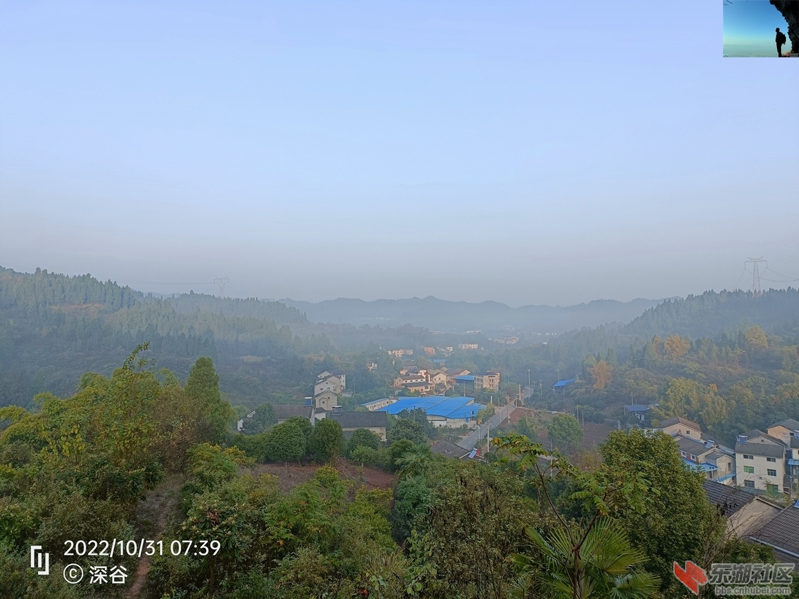 IMG20221031073934.jpg