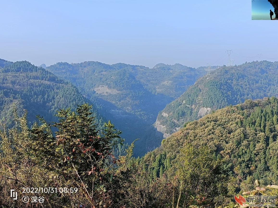 IMG20221031085903.jpg