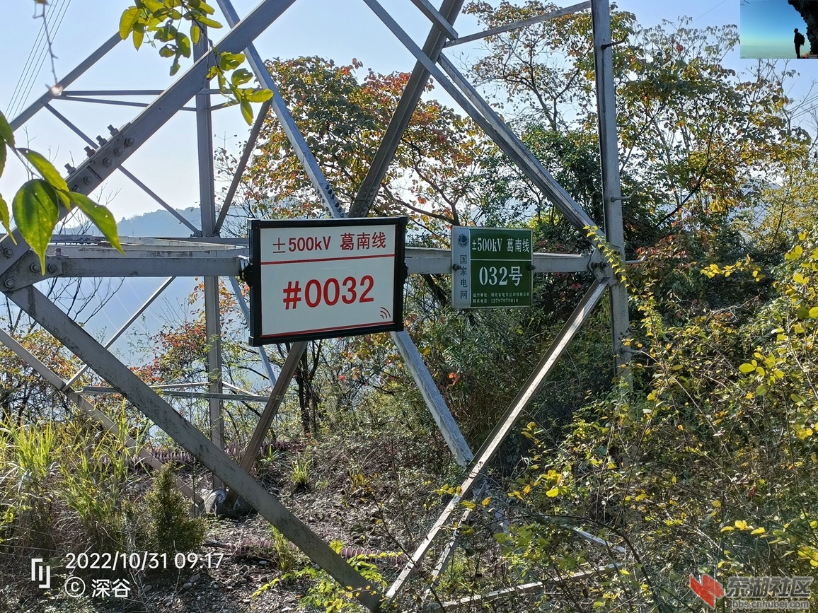 IMG20221031091726.jpg