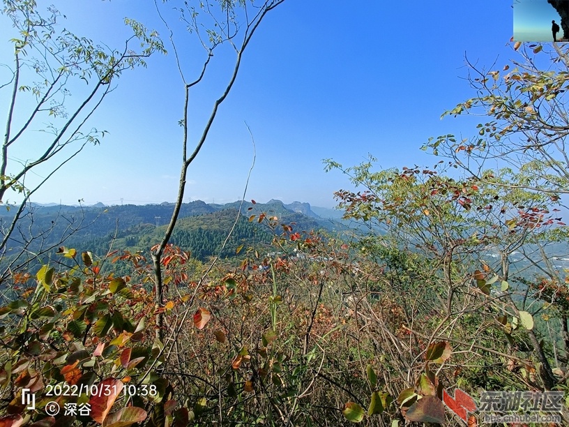 IMG20221031103836.jpg
