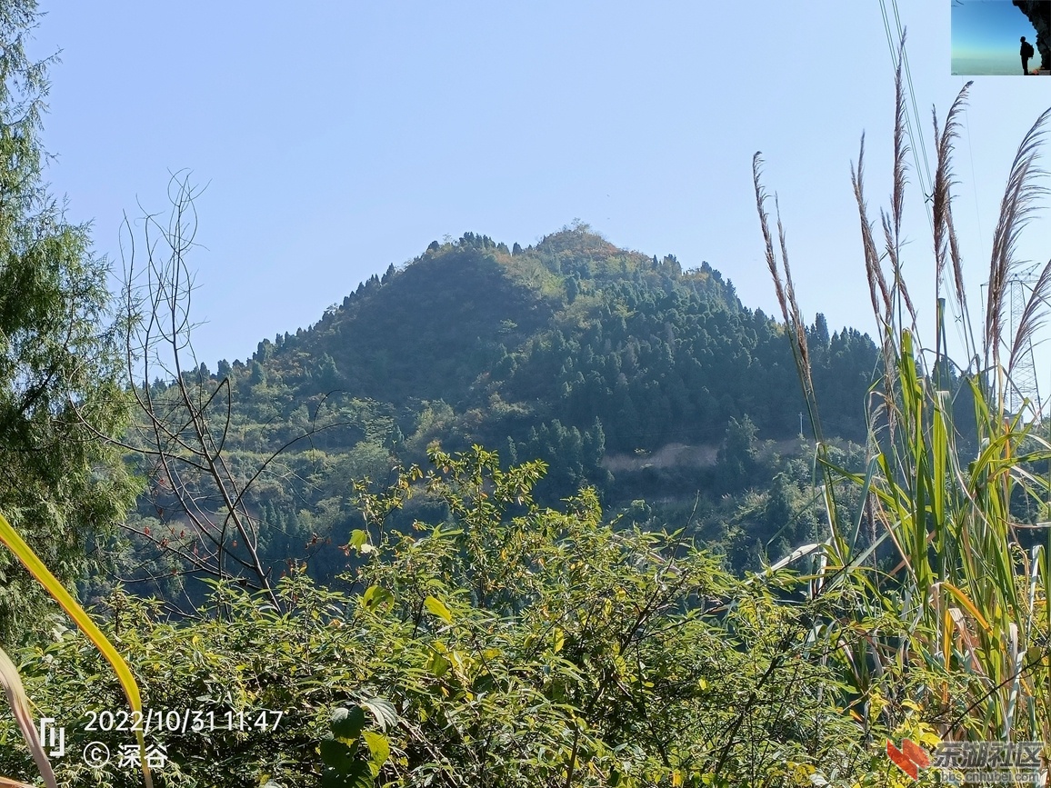 IMG20221031114751.jpg