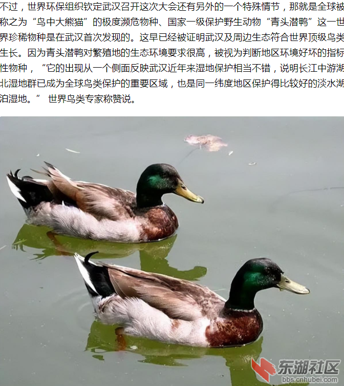 211606swycdrw9uucurwuj.png