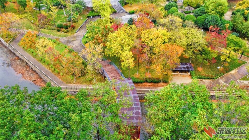 DJI_0027.JPG