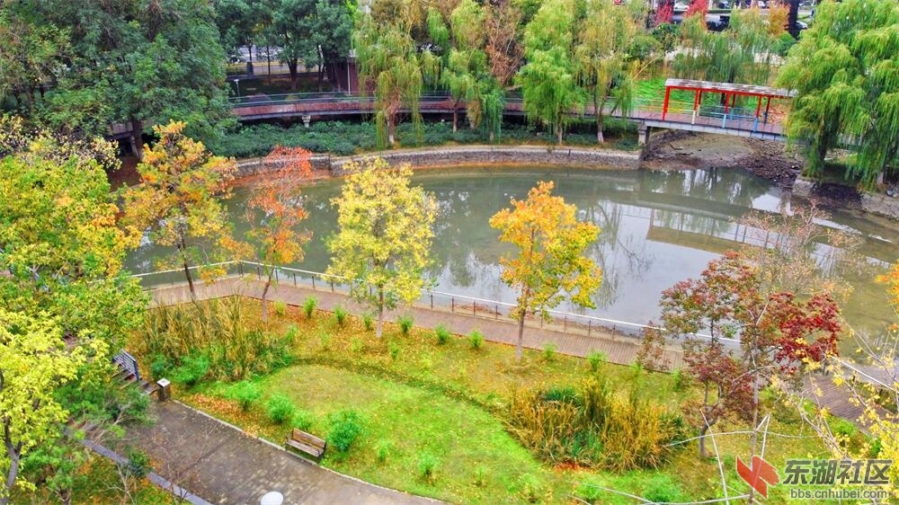 DJI_0031.JPG
