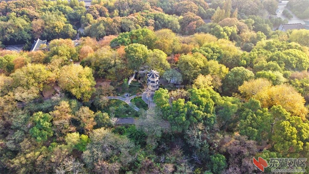 DJI_0067.JPG