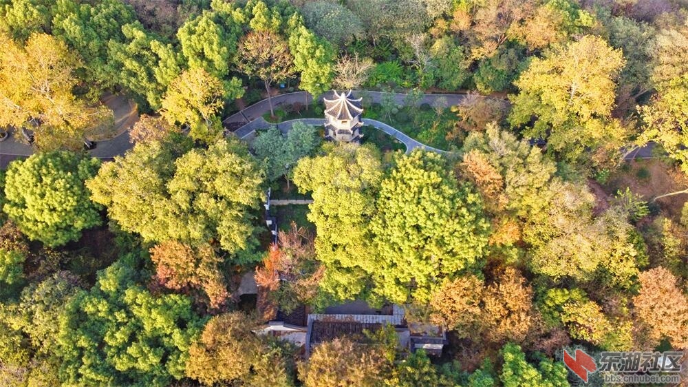 DJI_0078.JPG