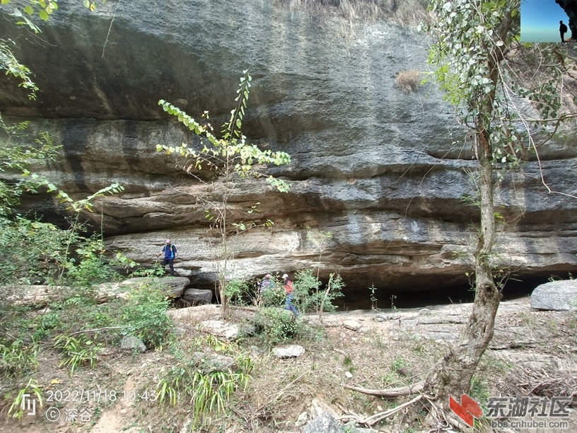 IMG20221118104338.jpg