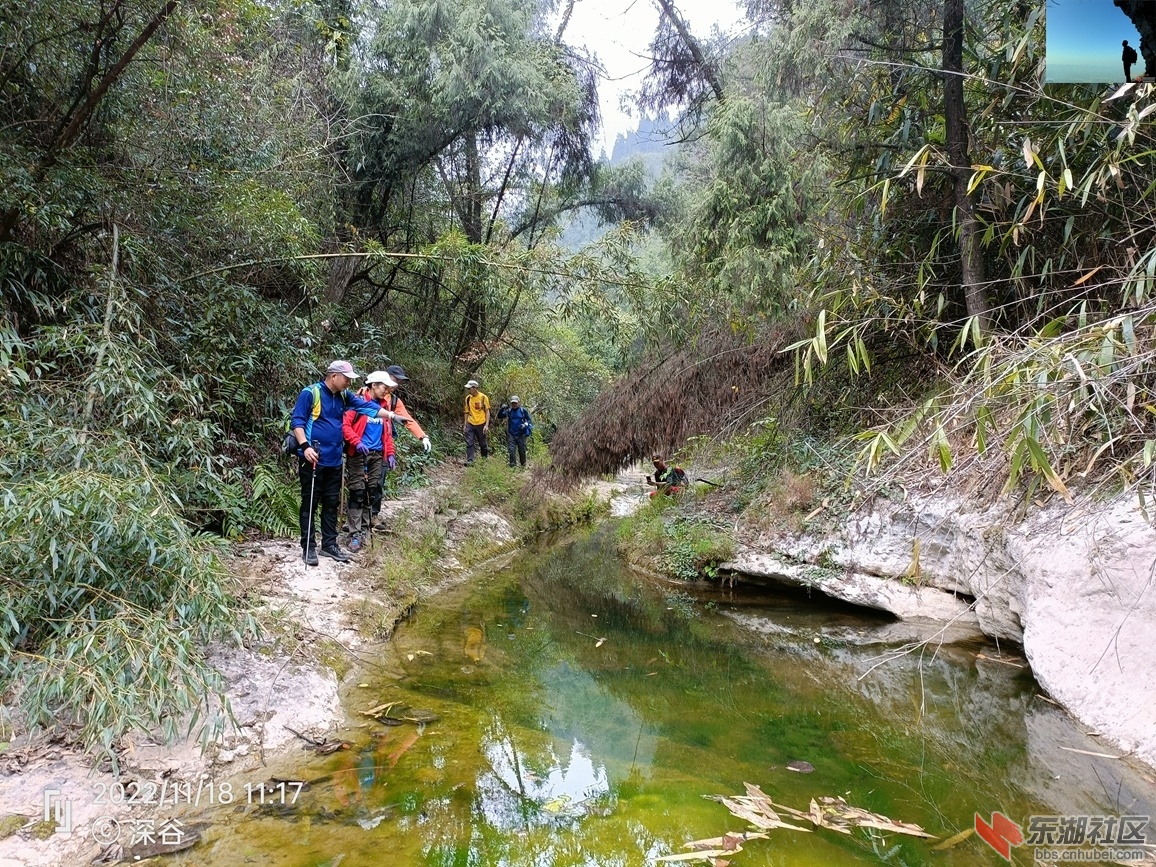 IMG20221118111709.jpg