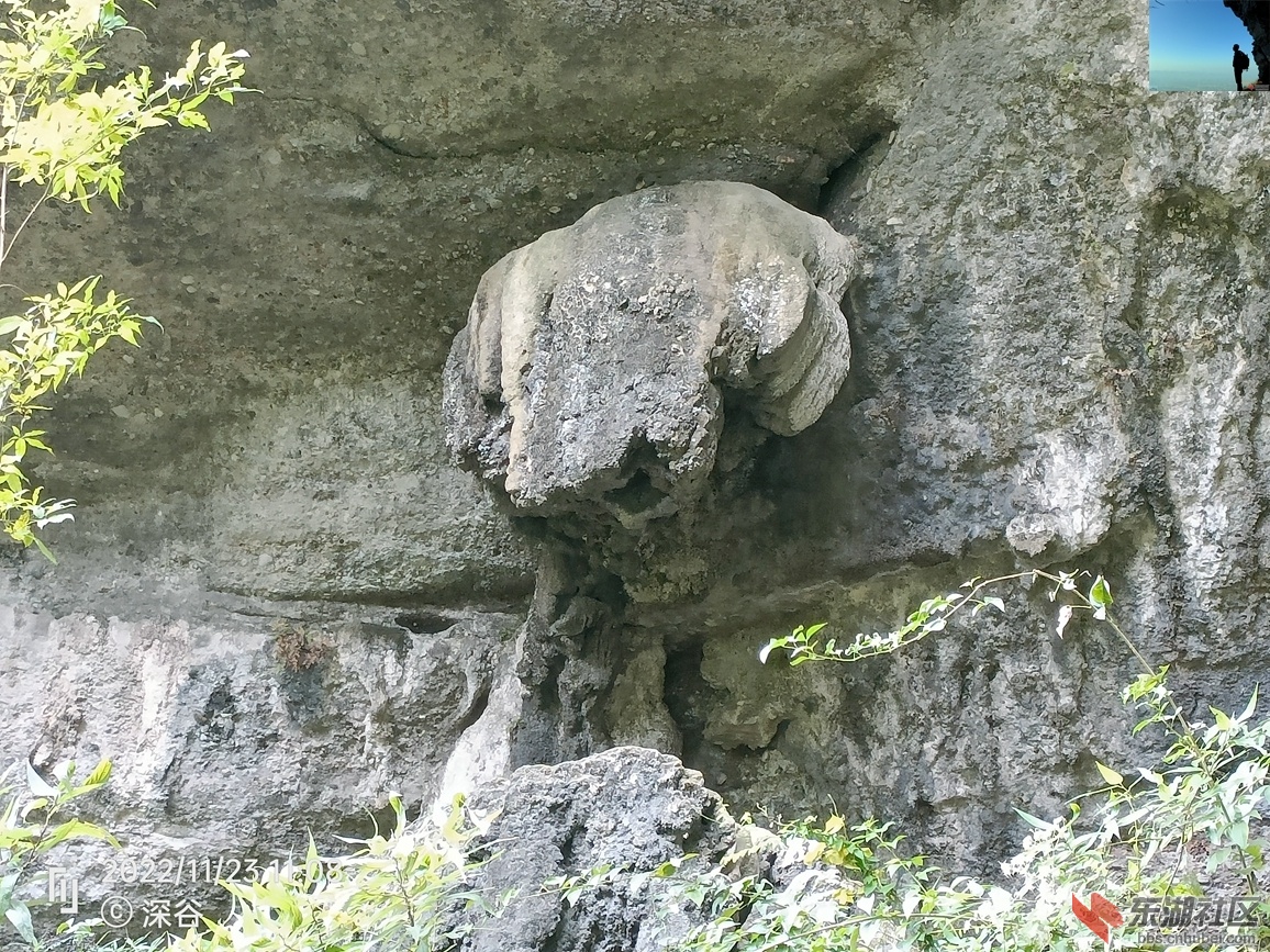 IMG20221123110846.jpg