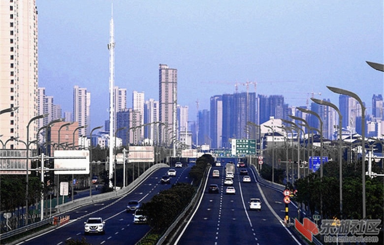093301ricccga341qq.jpg
