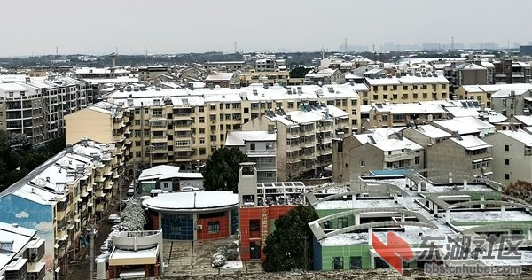 IMG_20230115_081118_副本.jpg