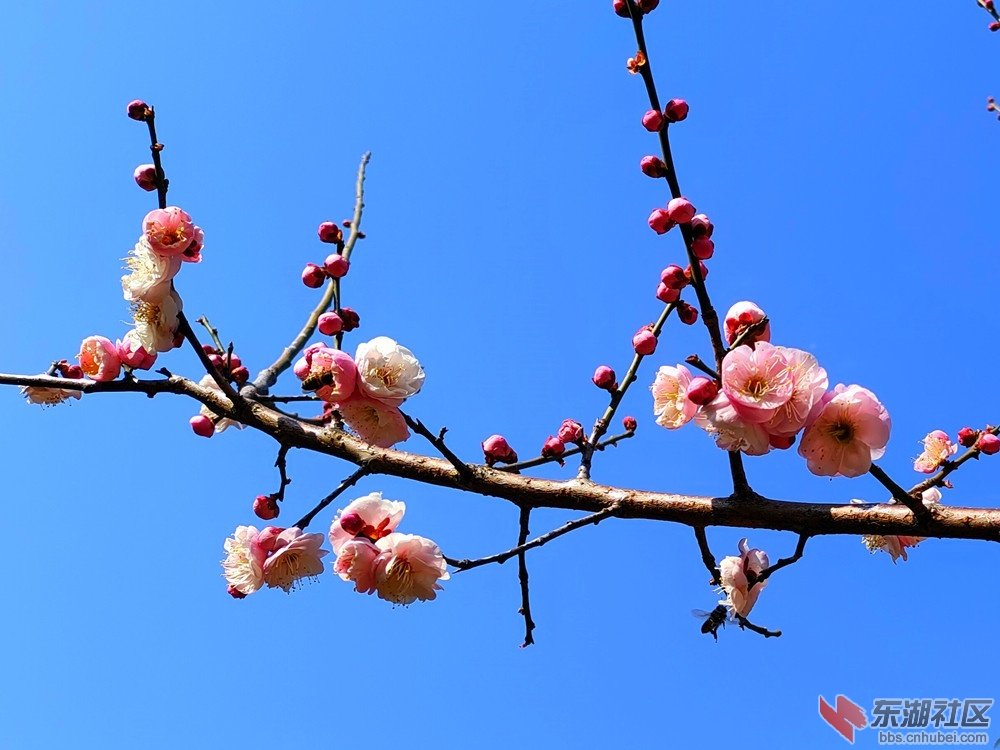 IMG_20230130_131813_副本.jpg