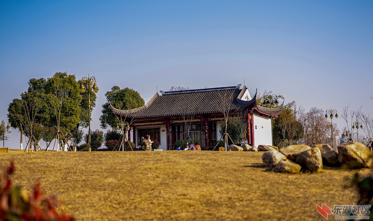 DSC09868 拷贝.jpg